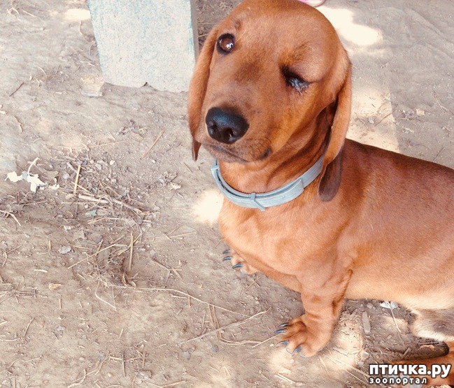 ���� 7: ���������� �������