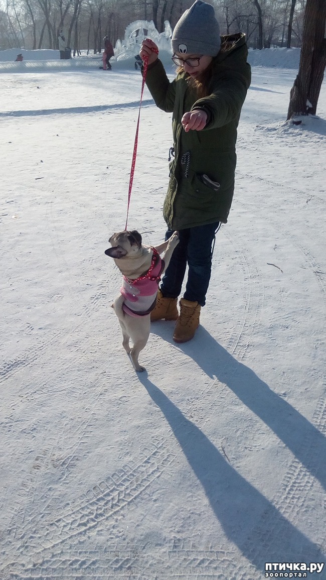 ���� 4: ���������� �� ��������.