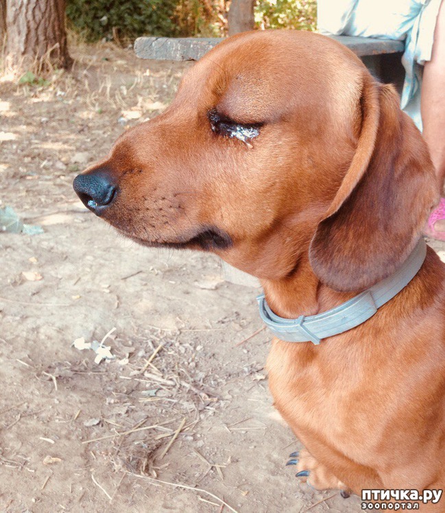 ���� 8: ���������� �������