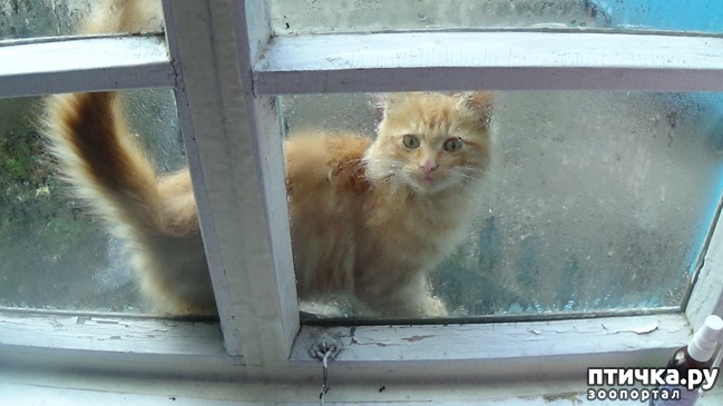 ���� 21: ��� �������� �������.