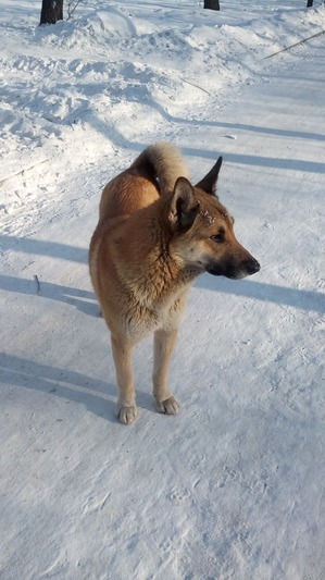 ����: ���������� �� ��������.