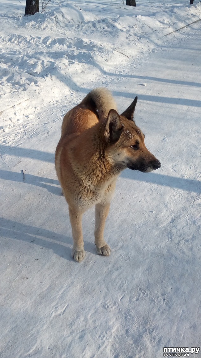 ���� 1: ���������� �� ��������.