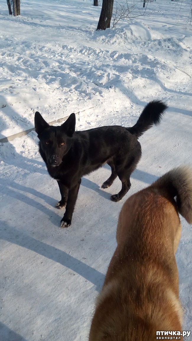 ���� 2: ���������� �� ��������.