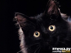 ����: ��������� ������