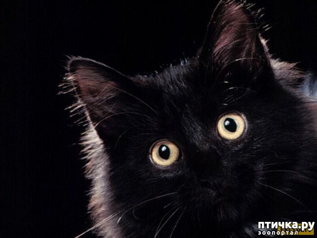 ���� 1: ��������� ������