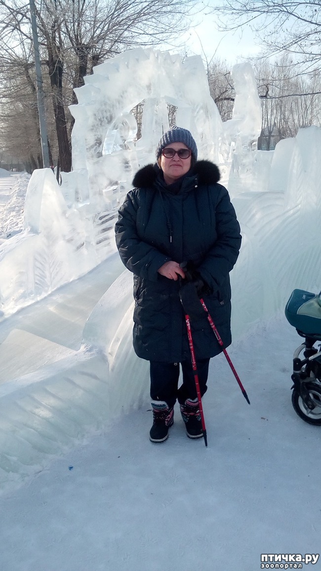 ���� 3: ���������� �� ��������.