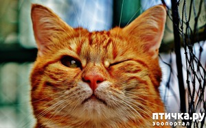 ����: ��� �������� �������.