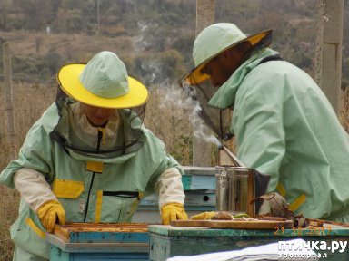 ���� 2: ���������� �������