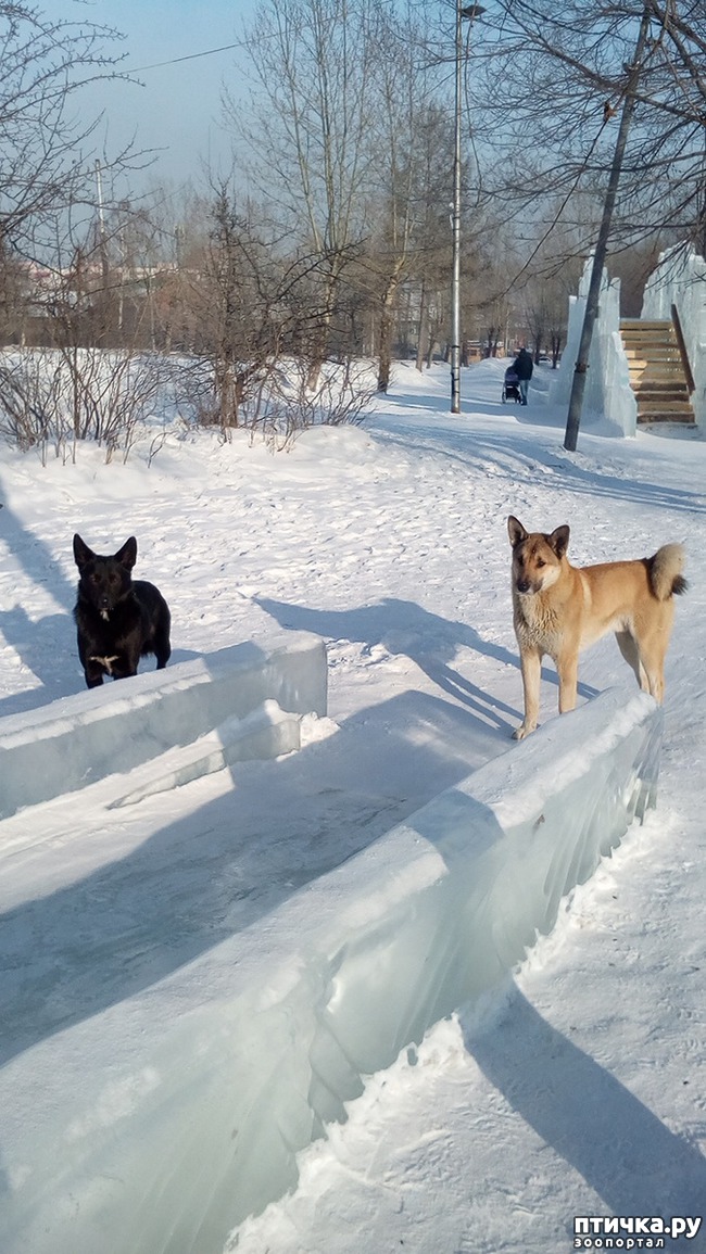 ���� 5: ���������� �� ��������.