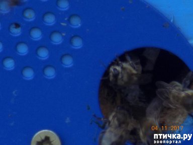 ���� 9: ���������� �������