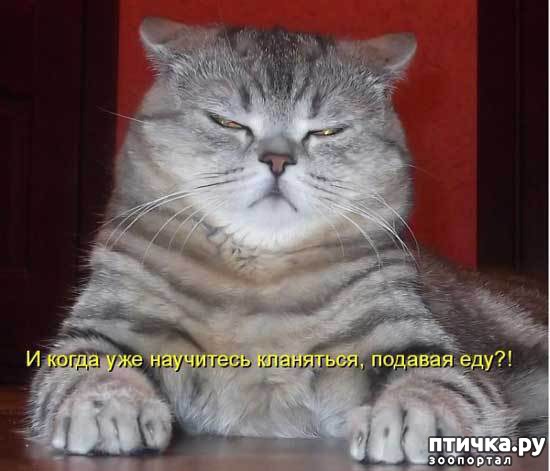 ���� 6: ��� �������� �������.