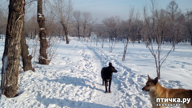 ���� 6: ���������� �� ��������.