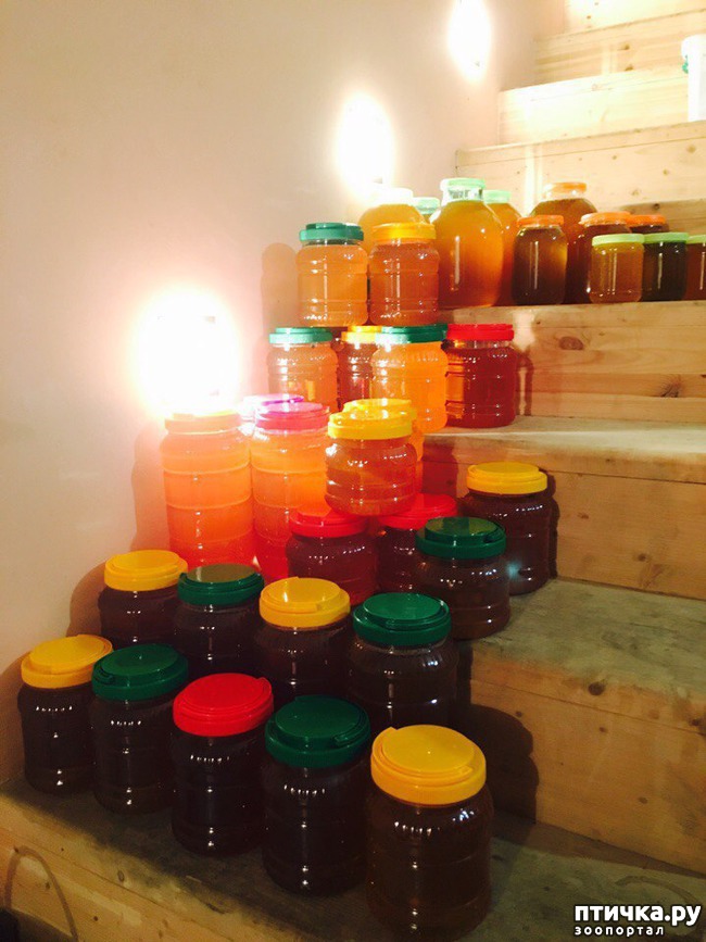 ���� 10: ���������� �������