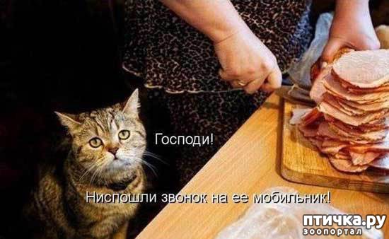 ���� 8: ��� �������� �������.