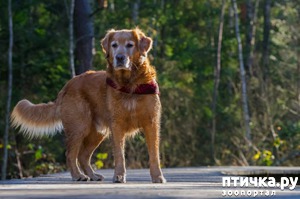 ����: �������� ���)))