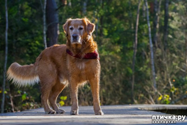 ���� 1: �������� ���)))