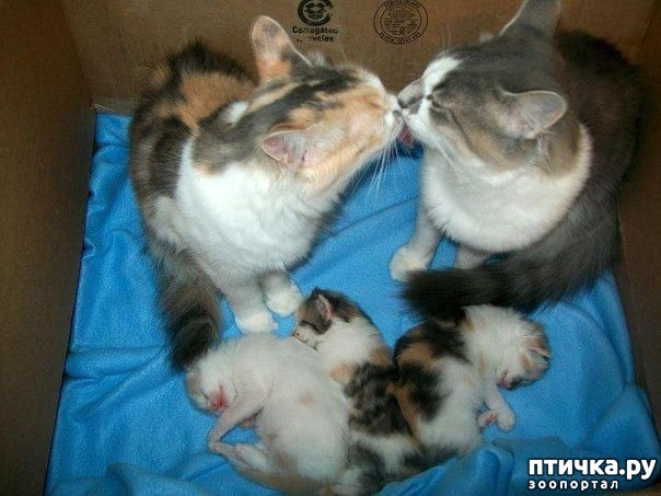 ���� 20: ��� �������� ������� 2