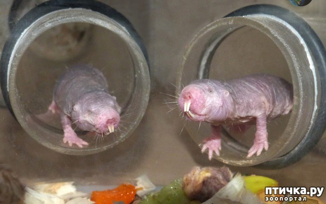 ���� 5: �� �������, �� �������, � �������� ��������...