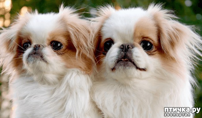 ���� 3: �������� ���