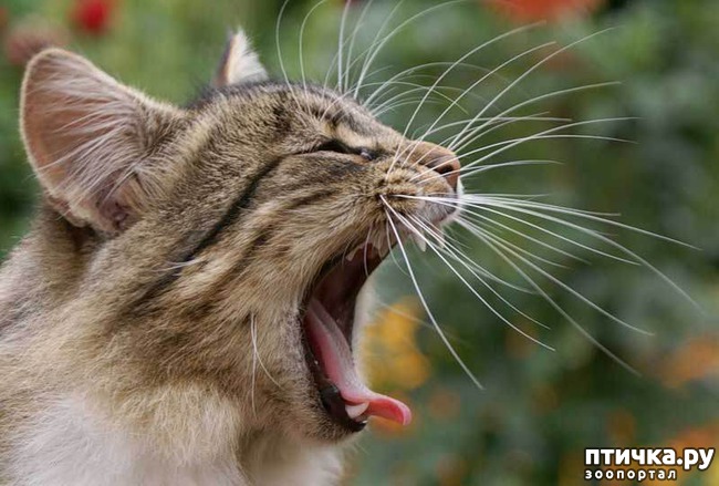 ���� 1: ����� ����� ���