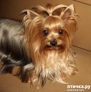 ����: �������� ���������.