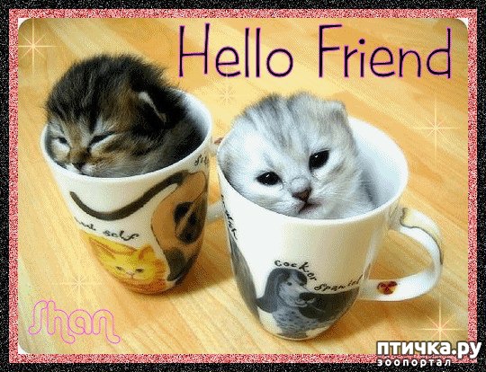 ���� 1: ��� �������� ������� 2