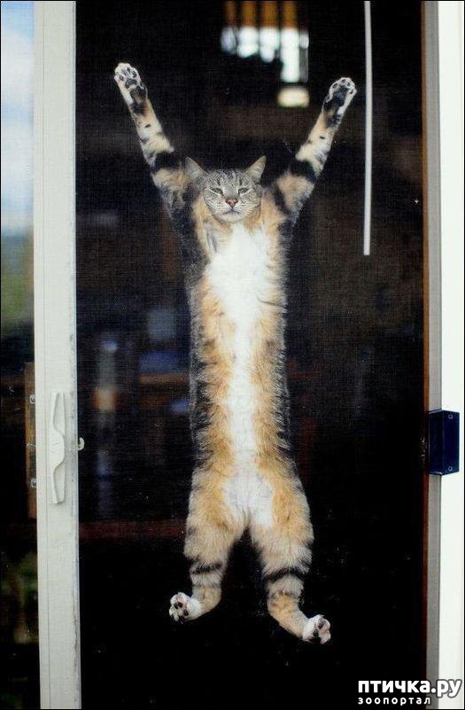 ���� 2: ��� �������� ������� 2