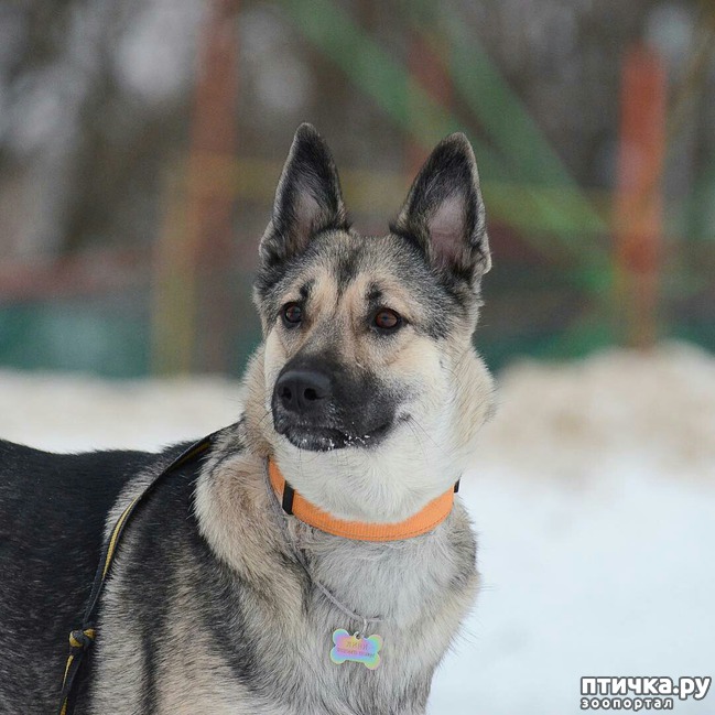 ���� 1: ������������ ������� � �������� ������