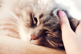 ����: ������ ��� ����� ����������, ����� � �� �����?