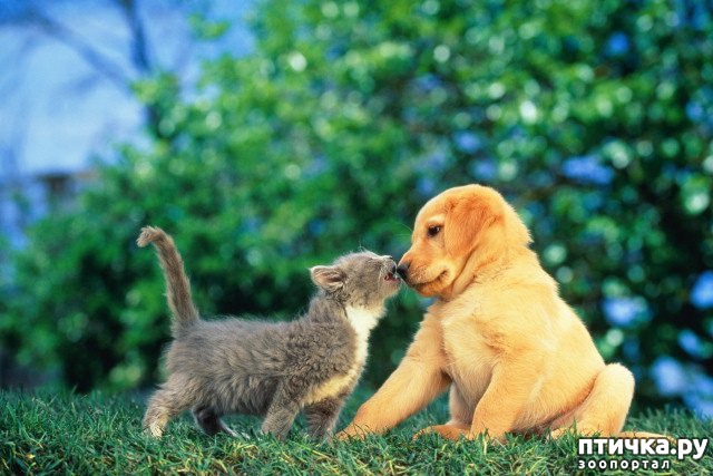 ���� 6: ��� �������� ������� 2