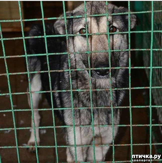 ���� 2: ������������ ������� � �������� ������