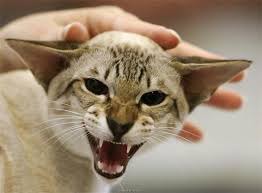 ���� 3: ������ ��� ����� ����������, ����� � �� �����?