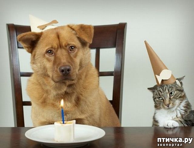 ���� 10: ��� �������� ������� 2