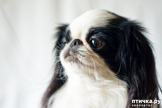 ���� 5: �������� ���