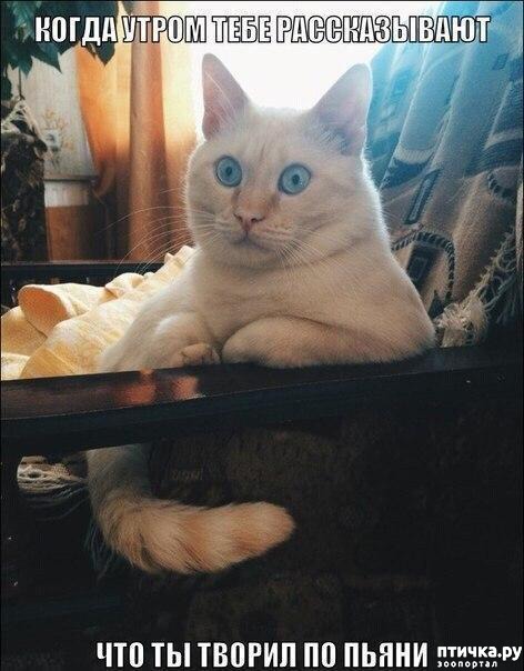 ���� 13: ��� �������� ������� 2