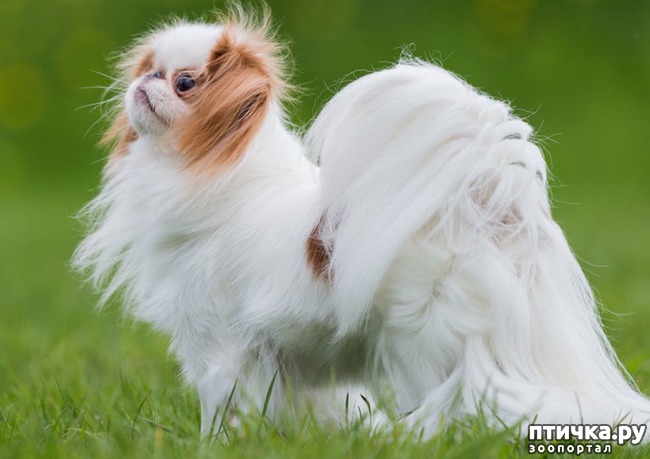 ���� 6: �������� ���