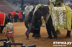 ����: ����� � ���������� ������� ������