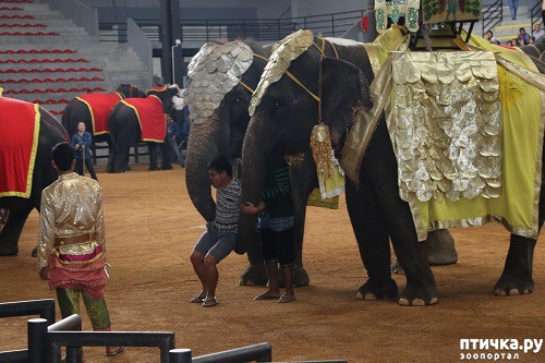 ���� 1: ����� � ���������� ������� ������