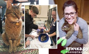 ����: ��� ���� �� ���� 10 ��� ����� � ������. ��������� ����� ��� ����� �����, � ������� �� ������ �������!