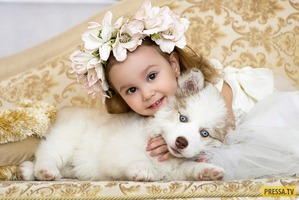 ����: ������� � �������...