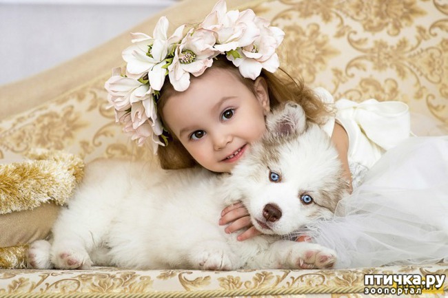 ���� 1: ������� � �������...