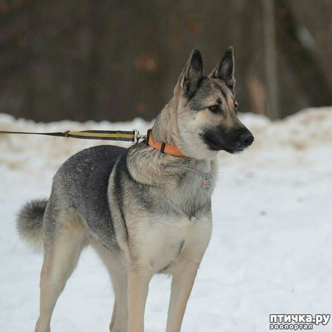 ���� 3: ������������ ������� � �������� ������