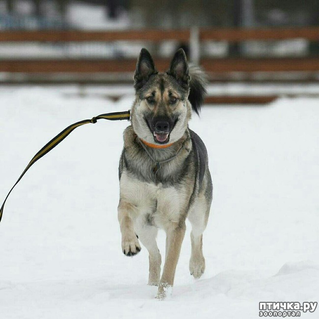 ���� 4: ������������ ������� � �������� ������