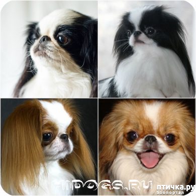 ���� 4: �������� ���