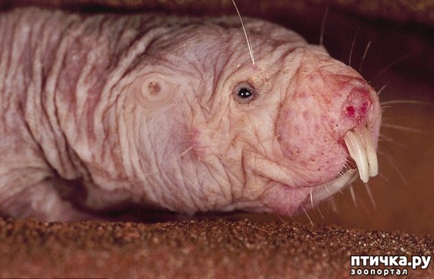 ���� 2: �� �������, �� �������, � �������� ��������...