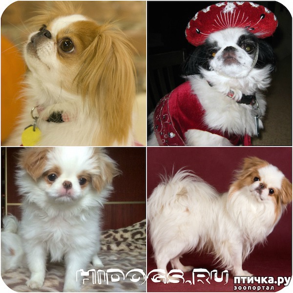 ���� 1: �������� ���