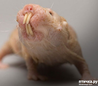 ���� 1: �� �������, �� �������, � �������� ��������...