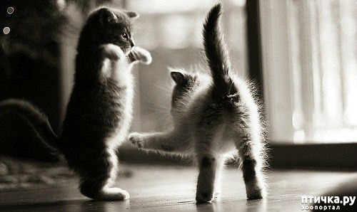 ���� 16: ��� �������� ������� 2