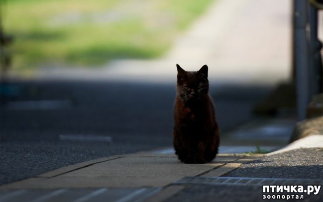 ���� 13: ��� ������������ ���� � ���������))