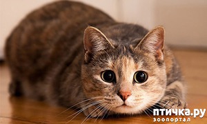 ����: ����� ���������� � ������.